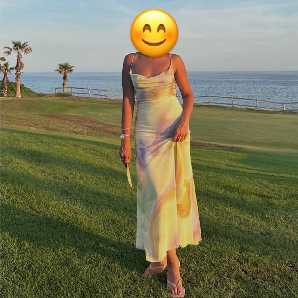Zara Printed Tulle Dress